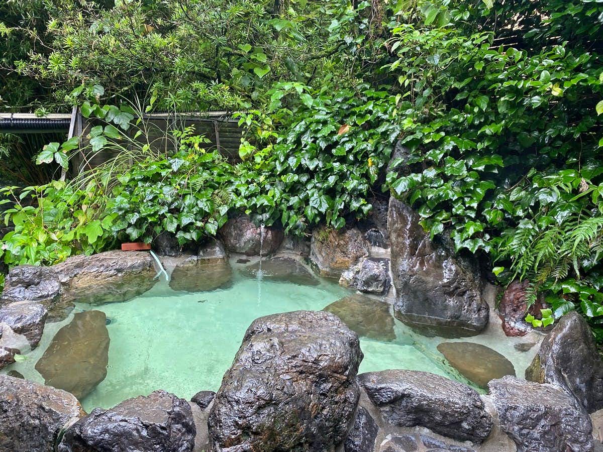 Hatago Shibisou with a green outdoor rock bath surrounded by dense foliage.