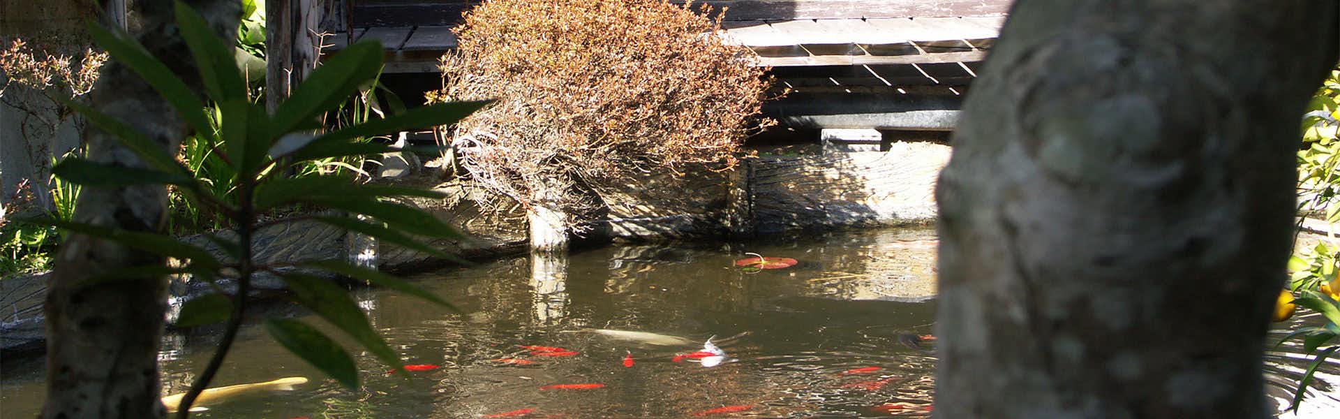 Hanareya Ishidaya, Japan
