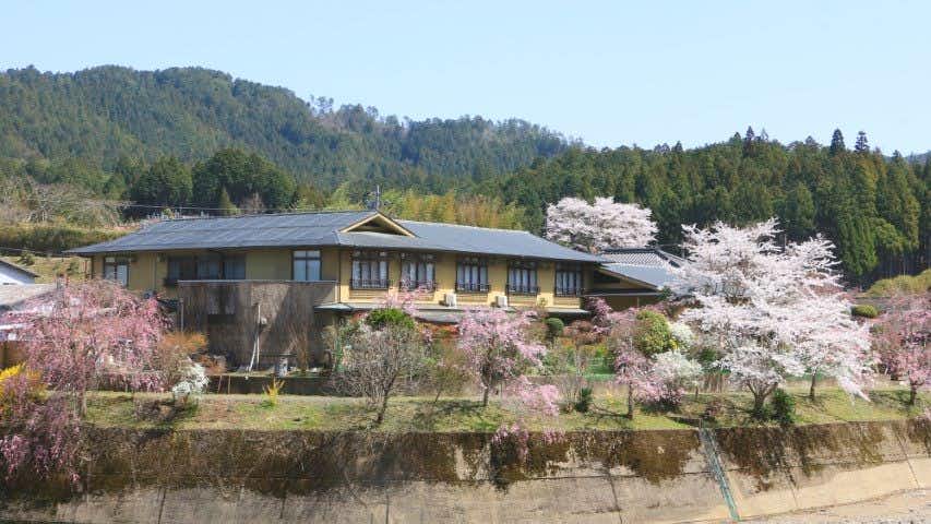 A small traditional Japanese-style accommodation, Culinary Ryokan Sushi Yone with a spring garden and blooming trees beside the inn.