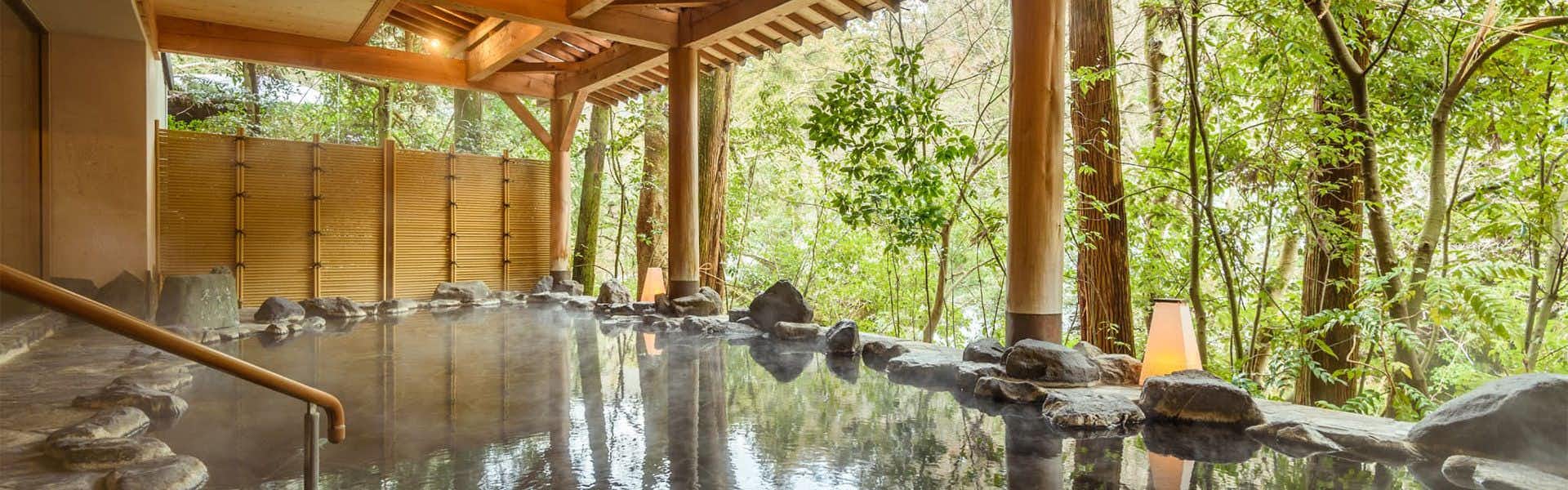 Shirasagiyu Tawaraya open-air rock bath beneath a timber canopy surrounded by forest