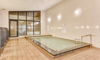 An indoor tiled bath with handrails and frosted windows.