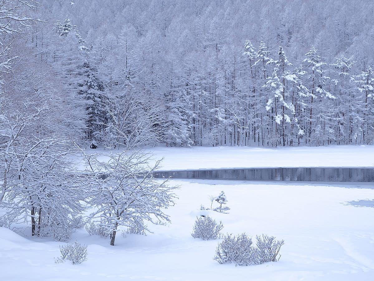 Shibutatsunokan with a snow-covered forest surrounding the mountain retreat.