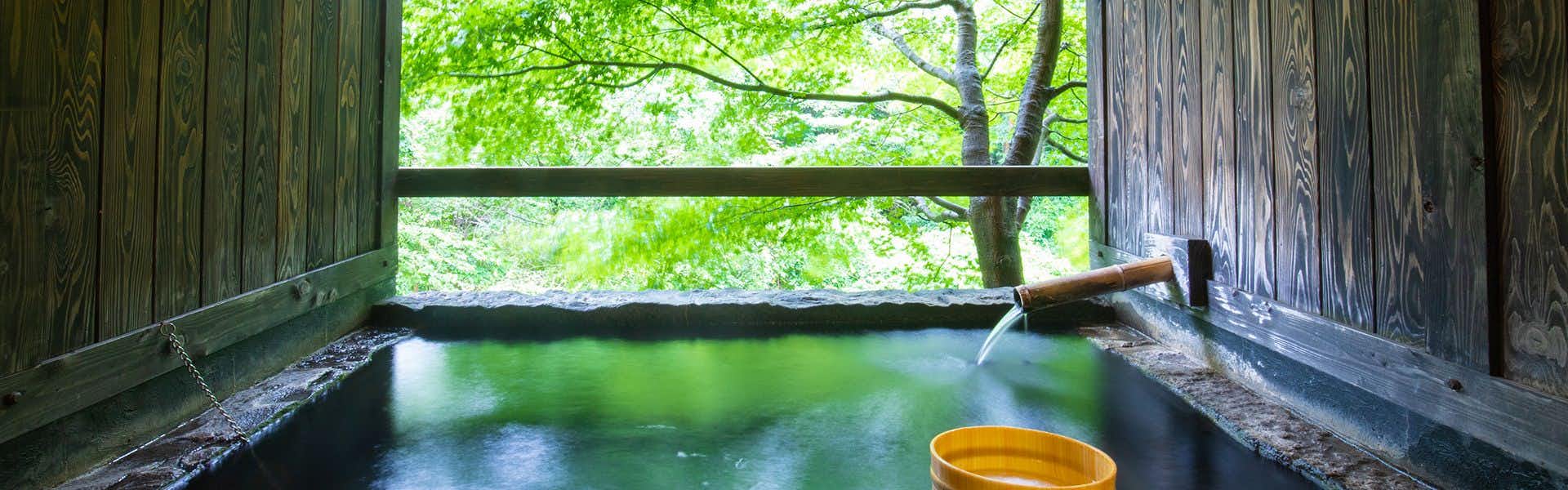 Ryokan Shirataki Interior bath with green-tinted water and wooden tub beneath large window framing forest vegetation, wooden beams and ceiling structure visible.