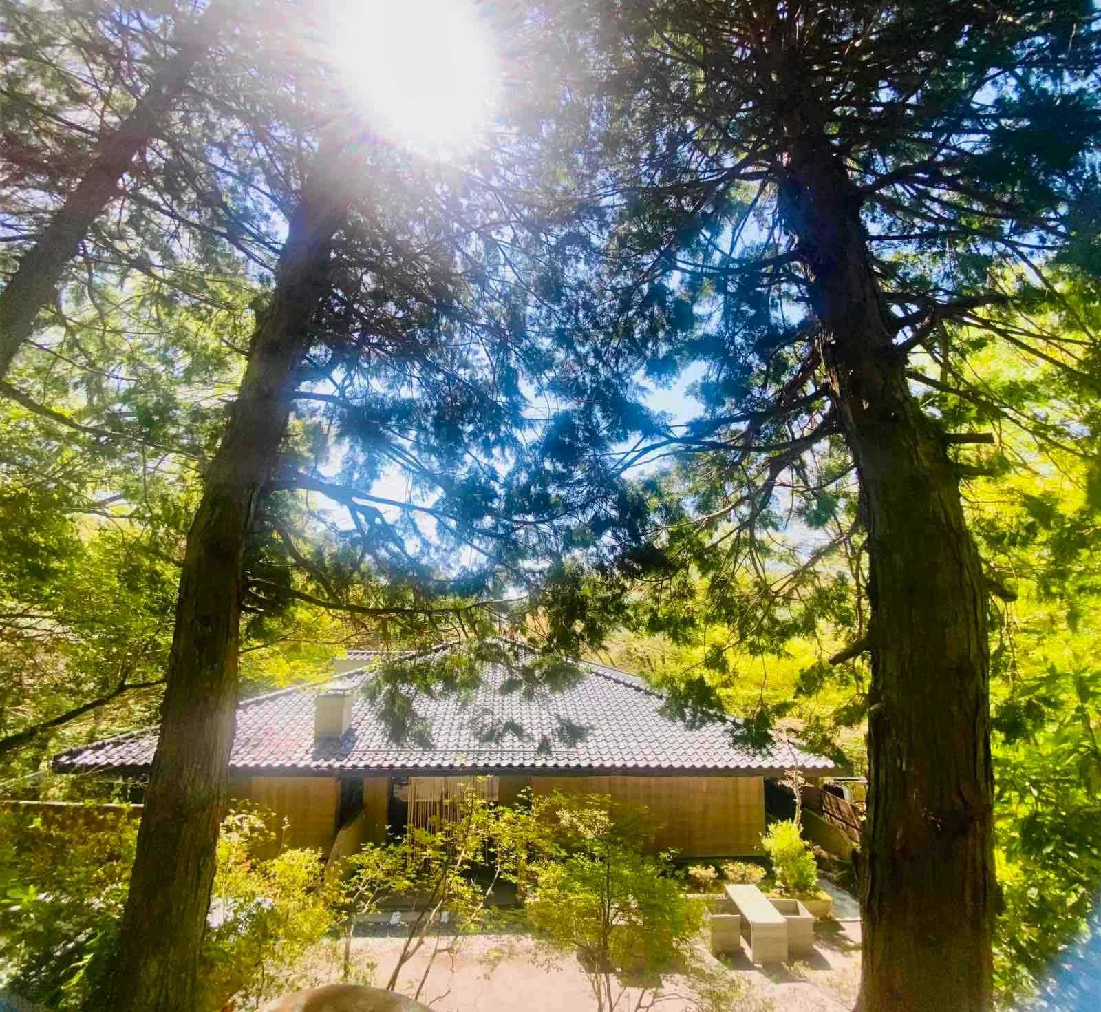 Hakone Saryo Kintoki with a secluded guesthouse beneath sunlit cedar trees.