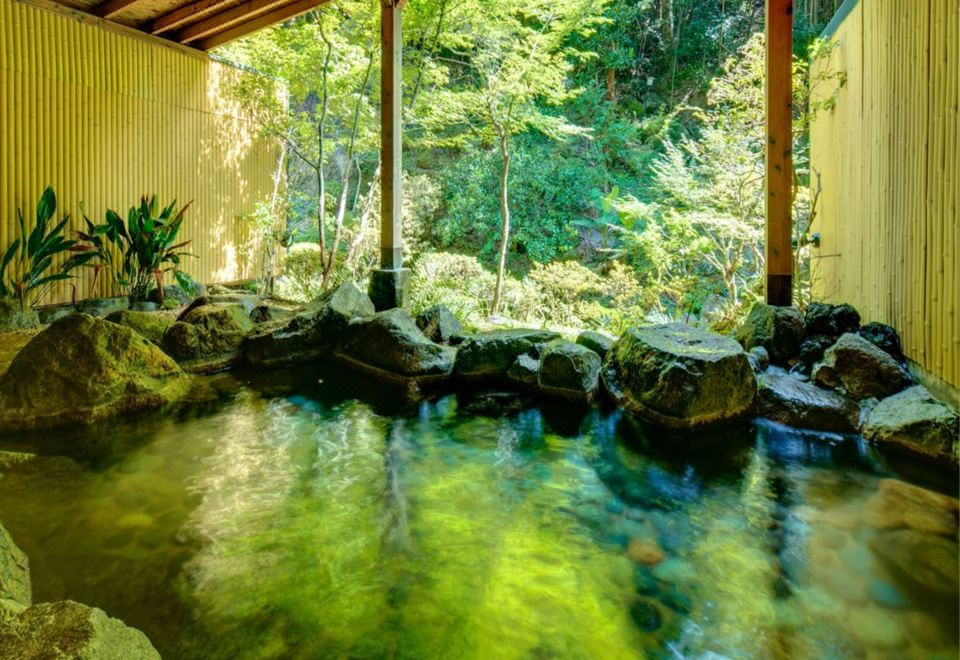A rock-lined bath facing a garden.