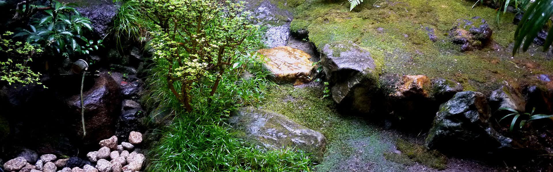 Izuyasu Moss garden with stepping stones, small trees, dense foliage, and narrow gravel paths surrounding exposed rocks
