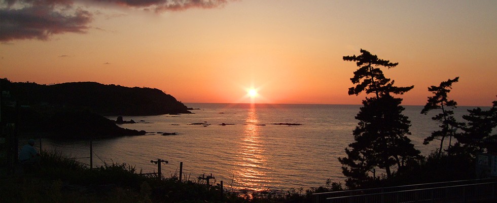 The sun setting beyond a pine-framed coastline.