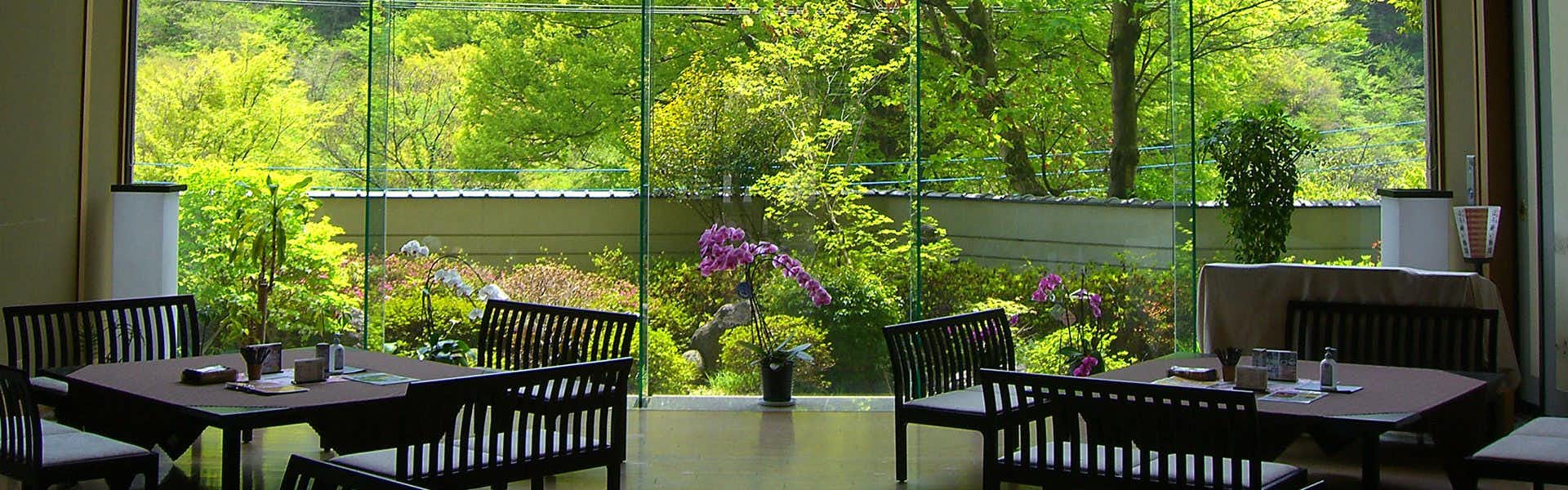 A windowed lounge overlooking dense garden foliage.