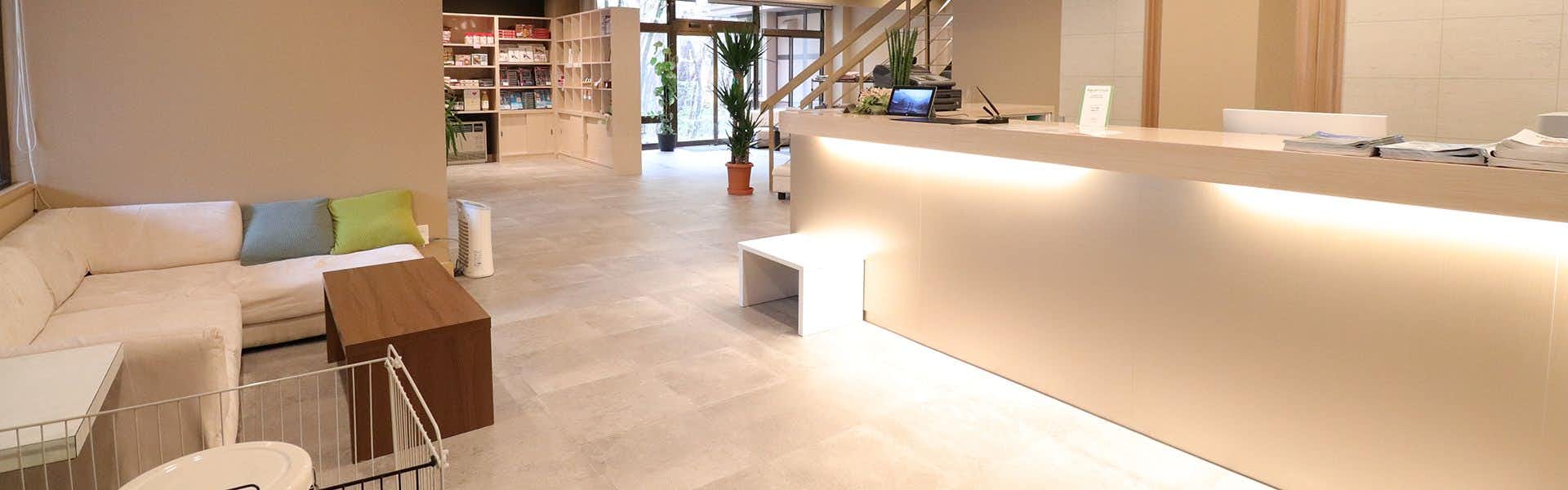 Sawando Onsen Kamikochi Hotel with a bright reception lobby with a pale timber counter.