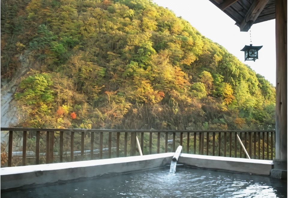 An outdoor bath overlooking a wooded mountain.