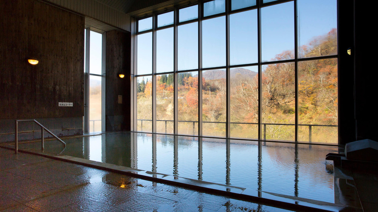 A large indoor bath overlooks a wooded hillside through glass.