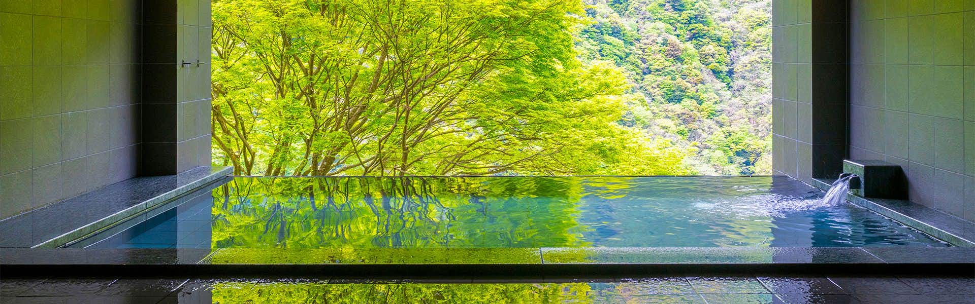 Hotel Iya Onsen