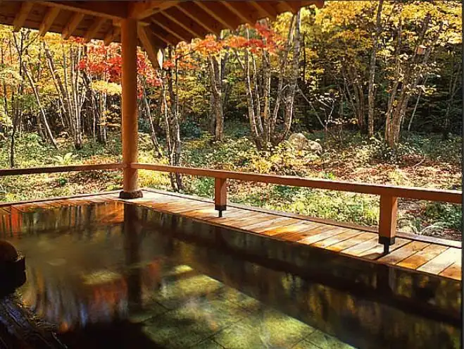 Onjuku Kajika with this scene, where its open-air bath faces red and gold trees across the forest.