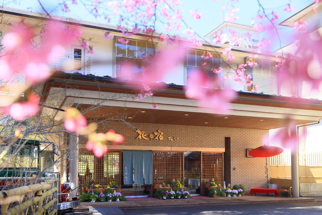 Building entrance with flowering branches.