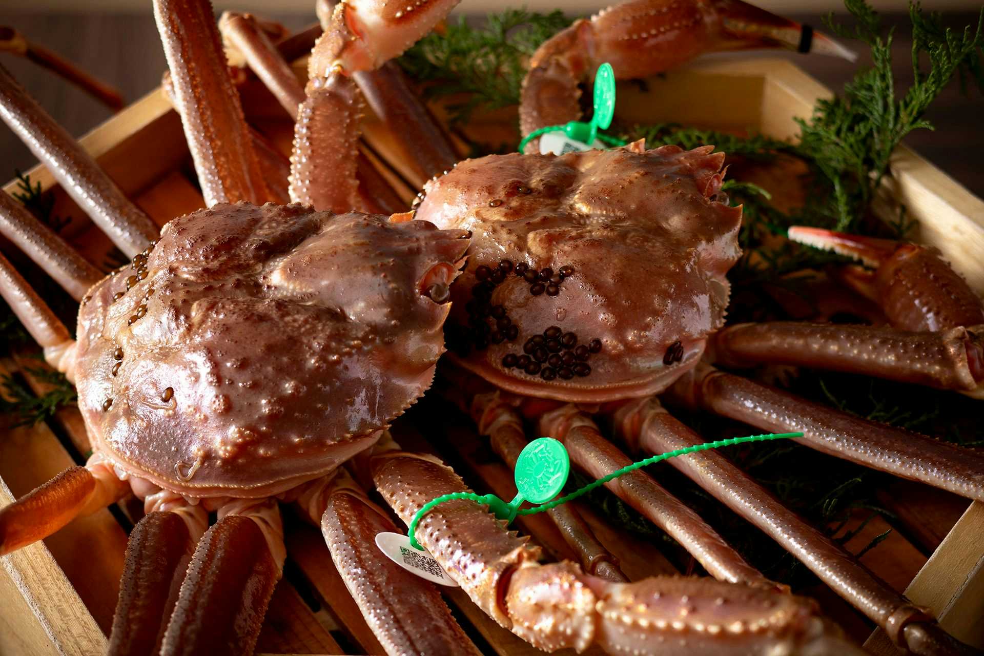 Kyo・Tango Resort Hanare Soraharu Large reddish-brown crustaceans arranged in wooden boxes with green tags and leafy sprigs.