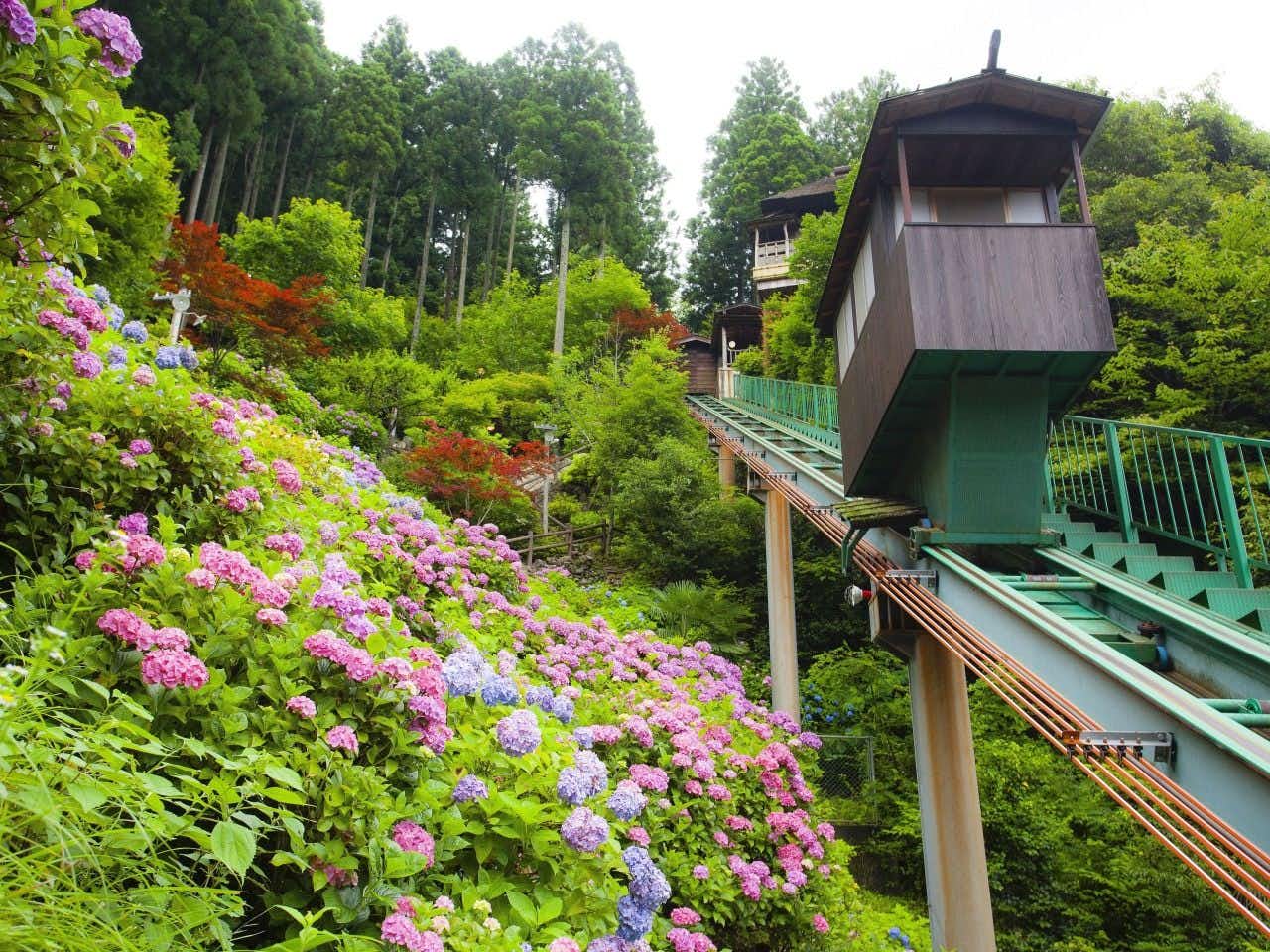 Hotel Kazurabashi, Tokushima Prefecture