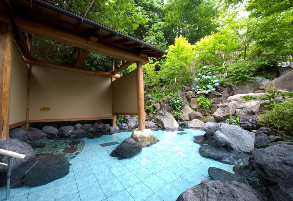 Rock-lined outdoor bath among greenery.