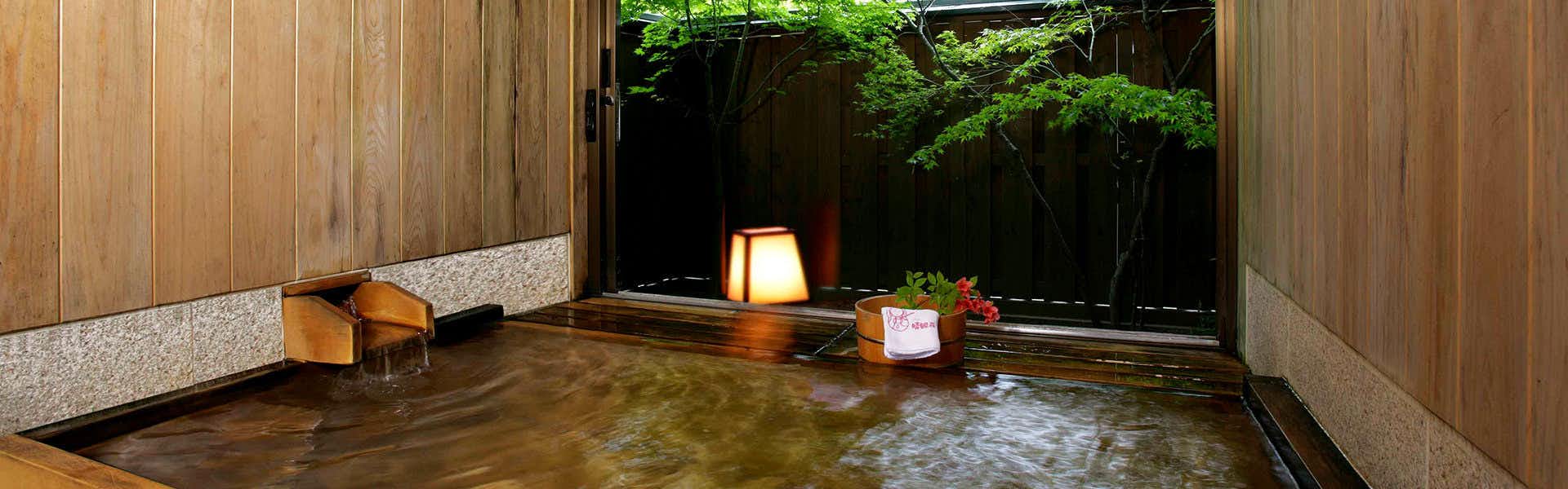 Ikaho Onsen Ichikawa Annex Seikansou with an open-air rock bath with a garden lantern.