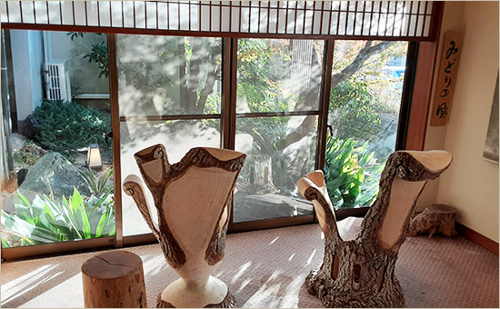 Wooden chairs by garden windows.