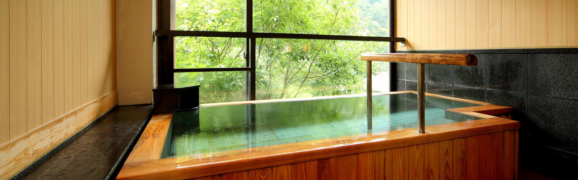 Shikanoyu Hotel with an indoor timber bath facing fresh green foliage.