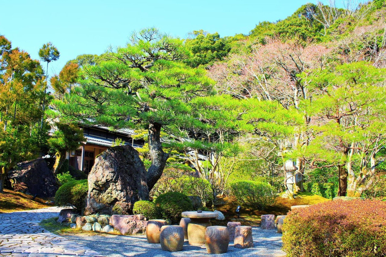 Manicured garden with sculpted pine trees.
