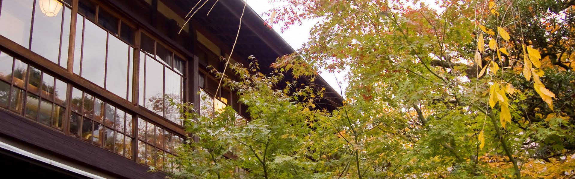 Gallery image 1