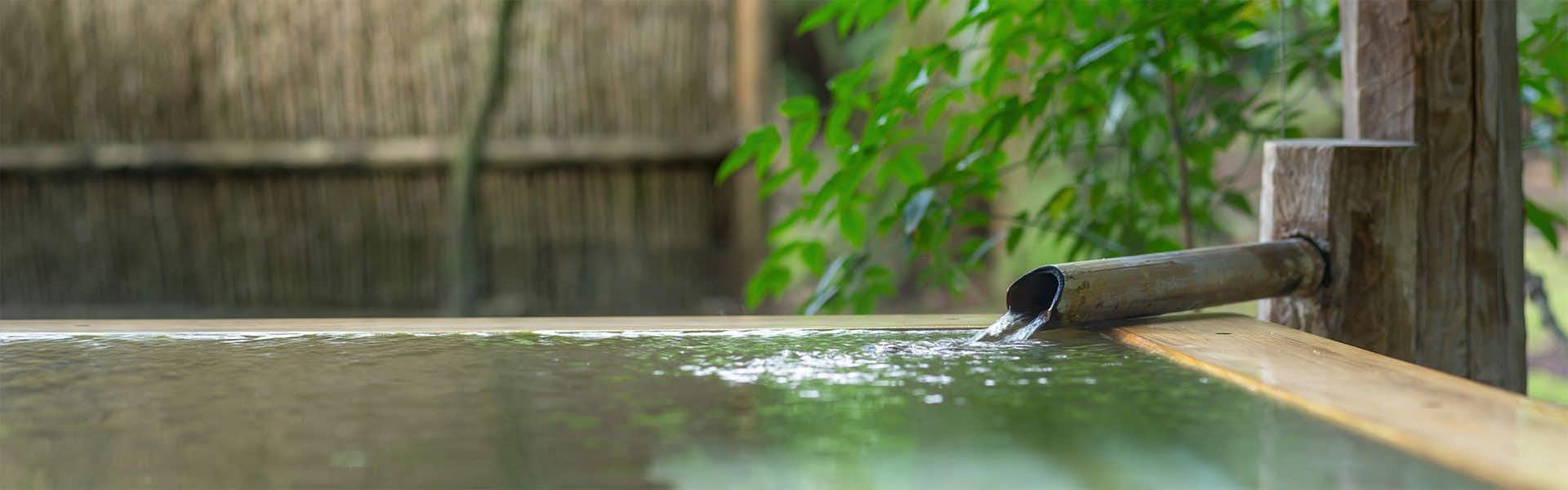 Chouseikan Green foliage branches close-focus, water with spout, wooden structure background