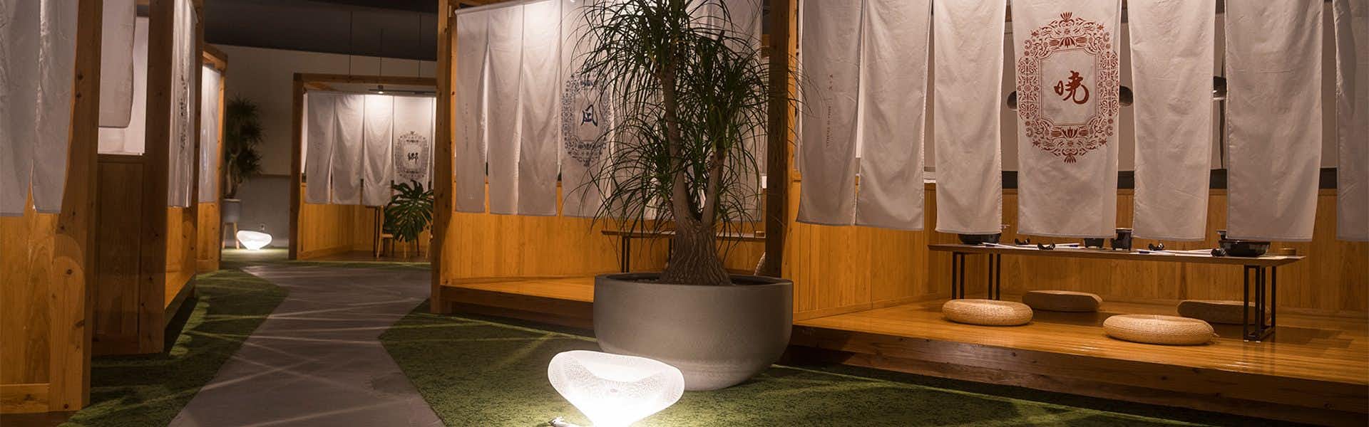 Tara Takezaki Onsen Yatomisou with a minimalist entrance with white curtains and green flooring.