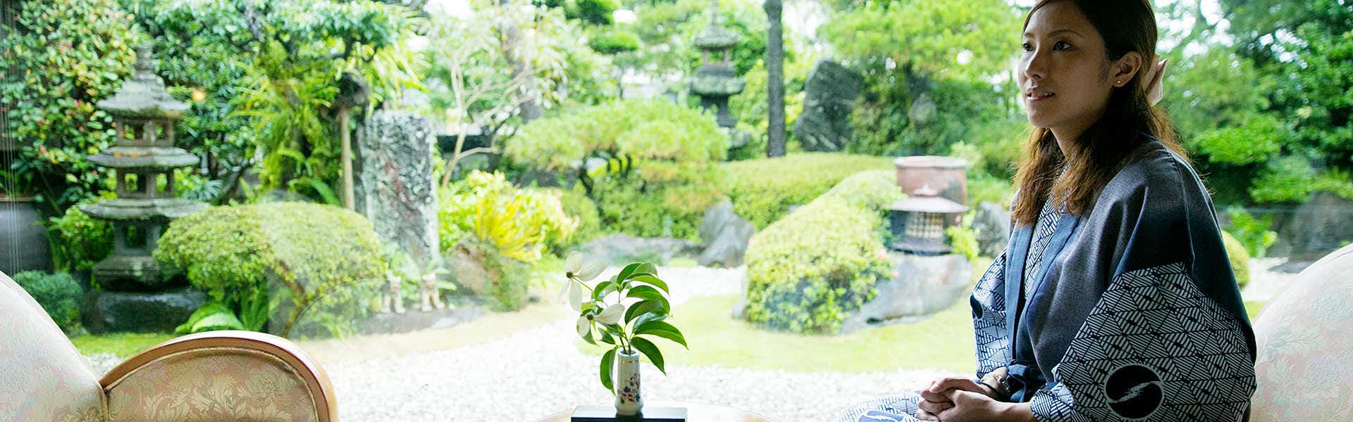 Ibusuki Shusuien Indoor potted houseplant with large oval-shaped green leaves