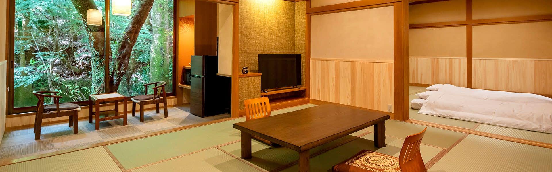 Saryo Mizumari, Japan