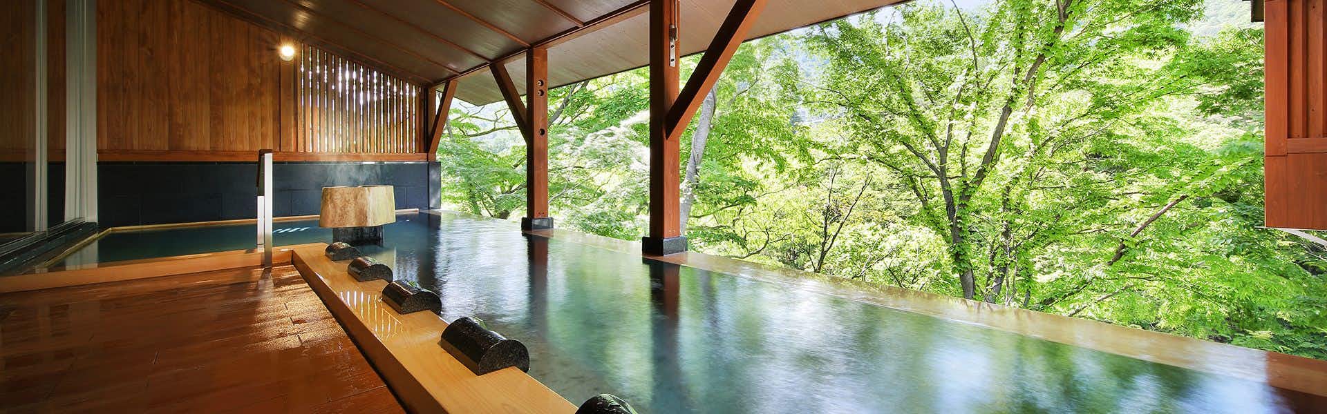 Inn of Serenity and Sincerity, Nanae Yae with an open-air bath reflecting dense green forest.