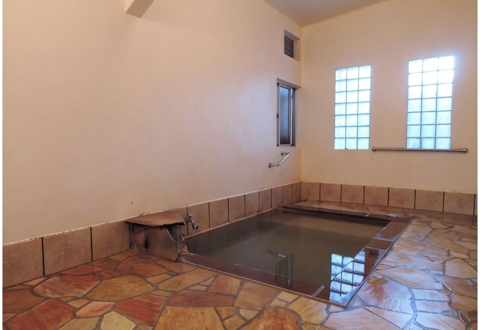 A deep indoor bath with tiled walls and large windows.