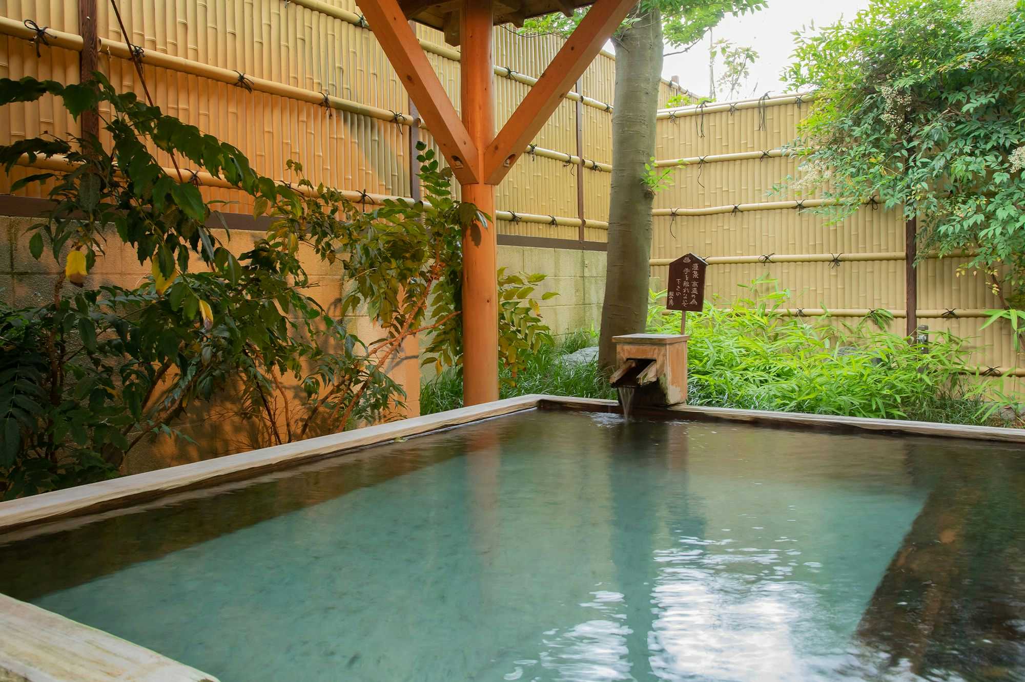 Suwakoen Inn by Lake Suwa with an open-air rectangular bath beside leafy garden foliage.