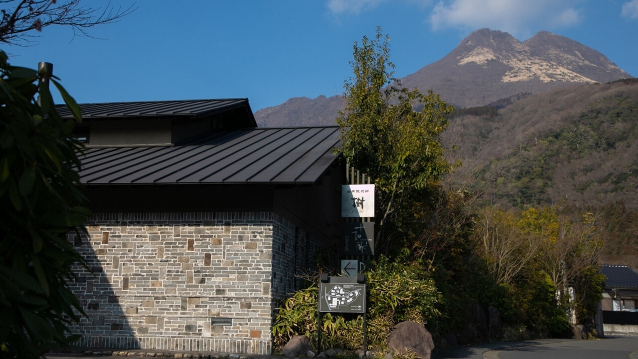 A ryokan entrance beside trees and a mountain.