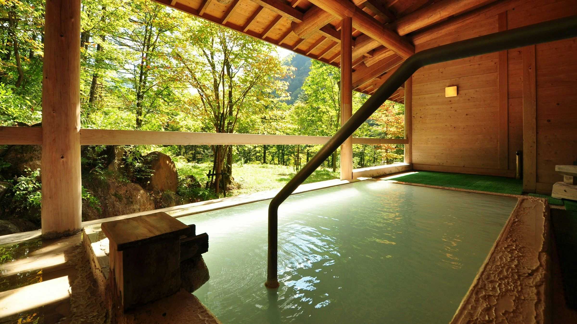 Shirahone Onsen Yumoto Saito Ryokan, Japan