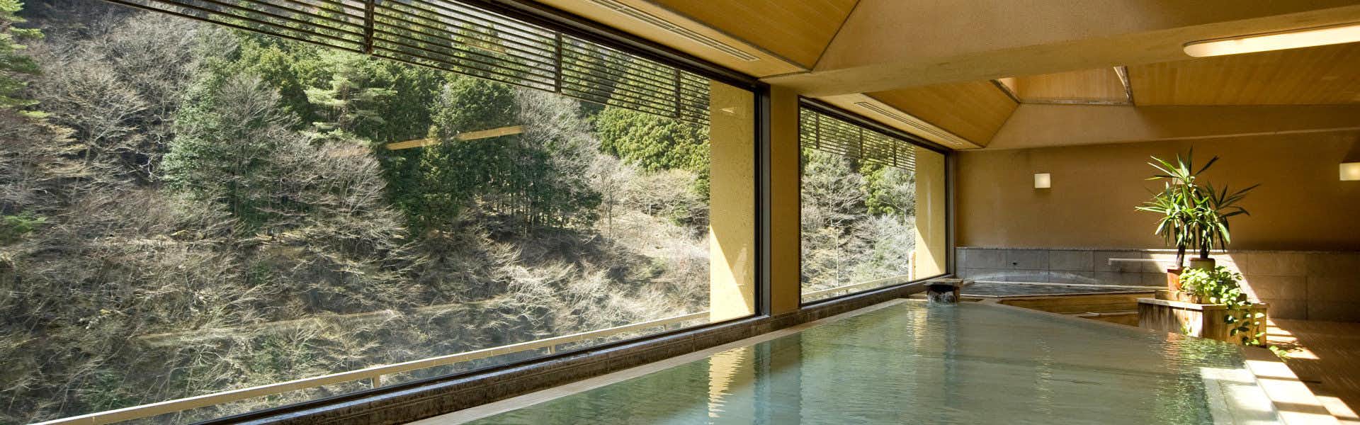 Nishiyama Onsen Keiunkan, Yamanashi Prefecture