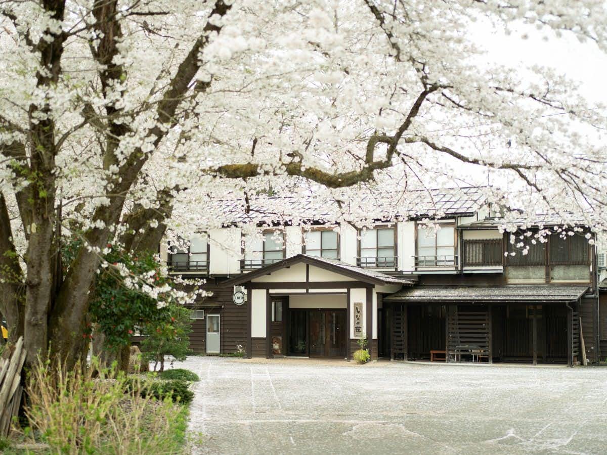 Echigo Tanaka Onsen Shinano-so