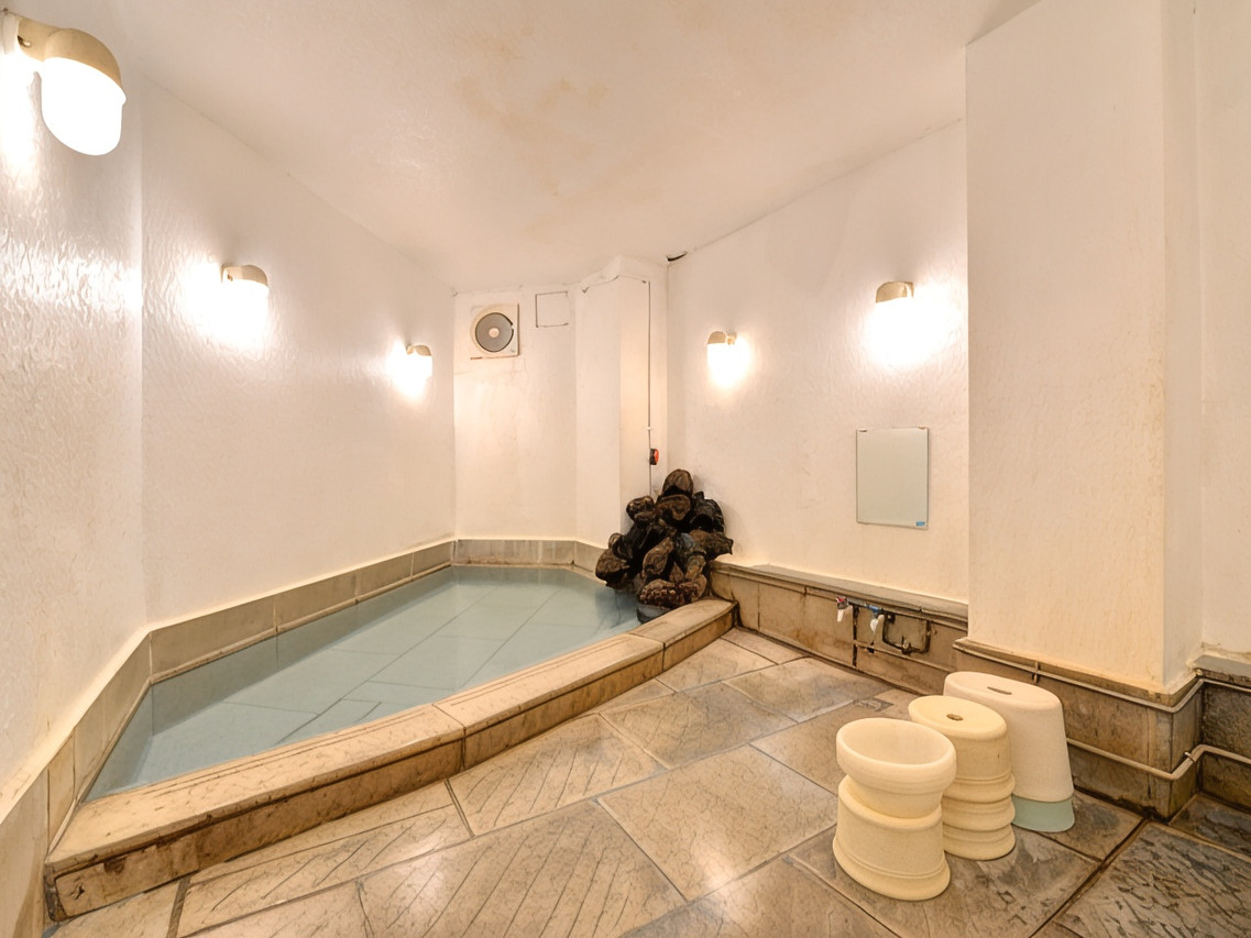 Indoor bath with rock accents.