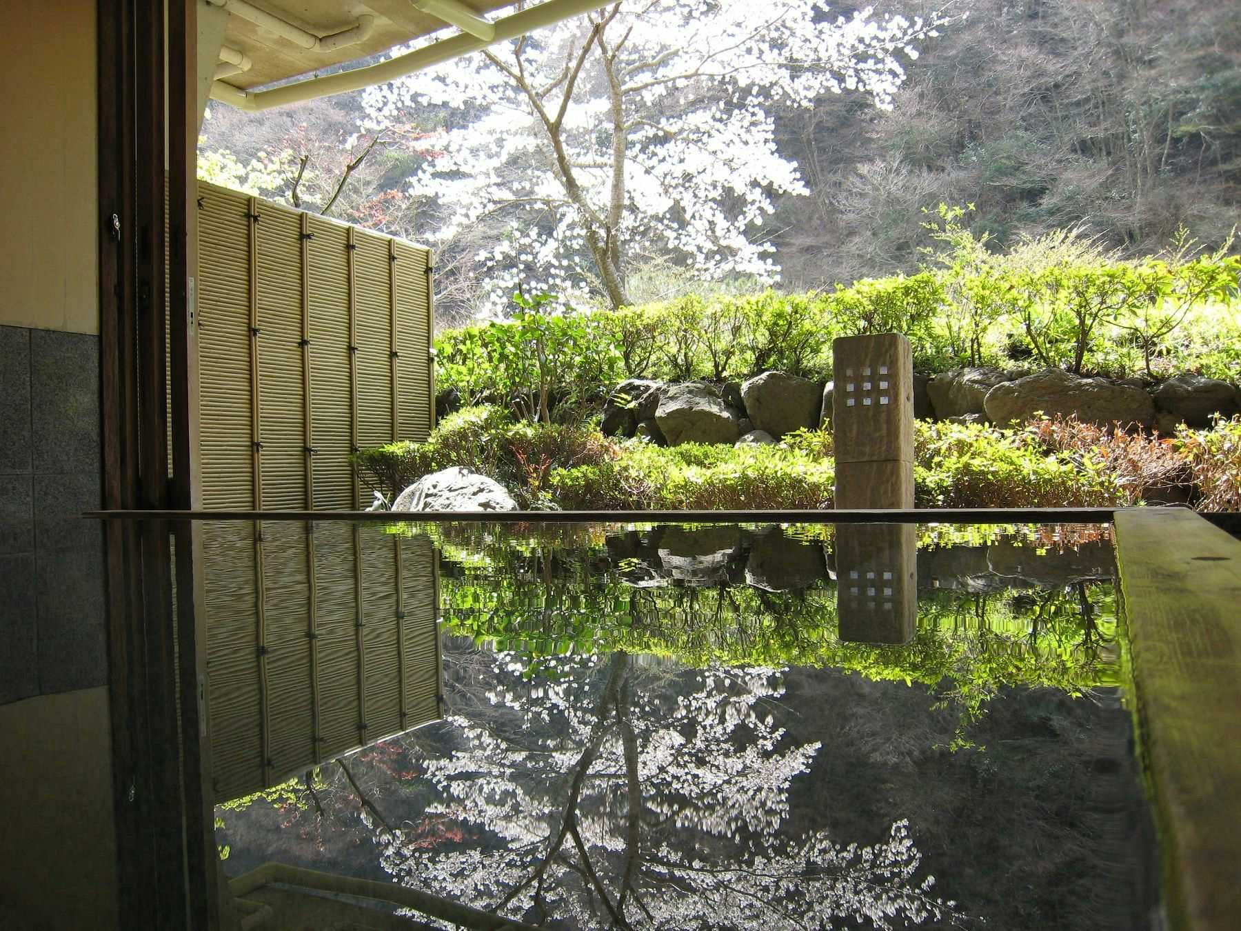 Nakagawa Onsen Shingenkan with this scene, where its open-air stone bath reflects greenery and flowering trees beyond a bamboo screen.