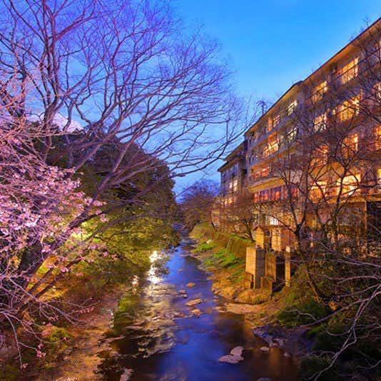 Sakakibara Onsen Ryokan Seishonagon with the riverside hotel facade glowing through bare winter branches.