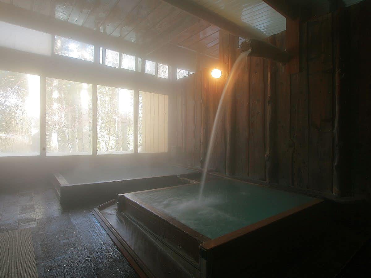 Shibutatsunokan with an indoor mineral bath facing a misty winter forest.