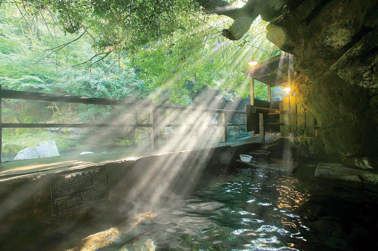 Fukumotoya a rock-lined outdoor bath beneath a dense leafy canopy.