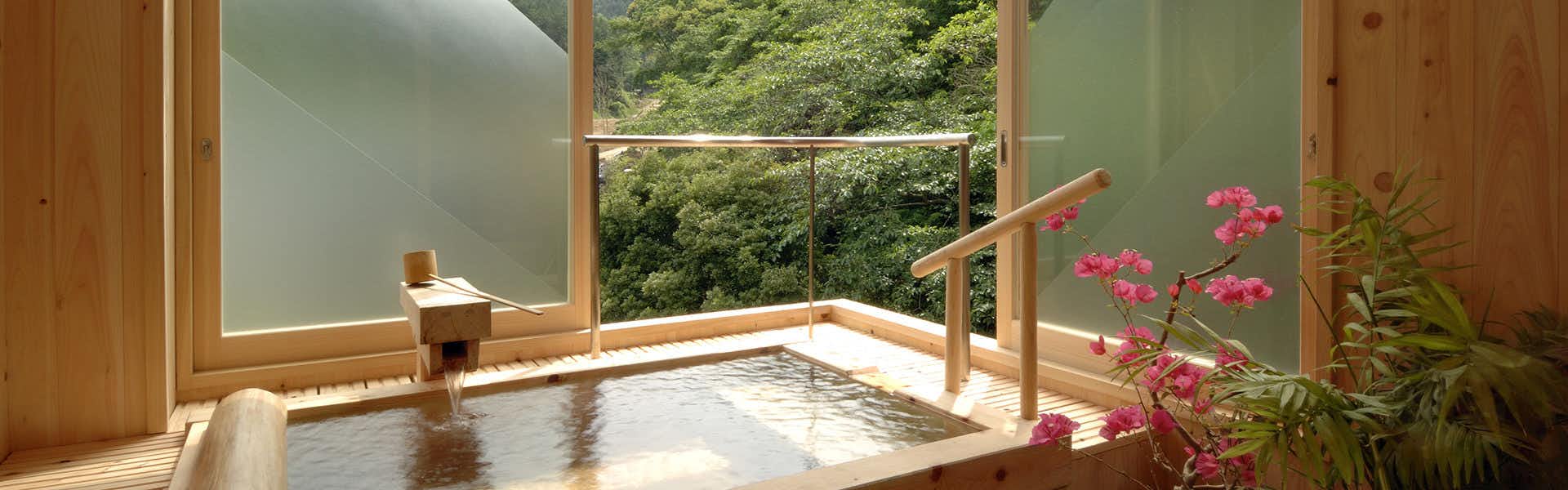 Insen, Private Source Flowing Hot Spring - Kannon Onsen with a private stone bath overlooking rolling green hills.