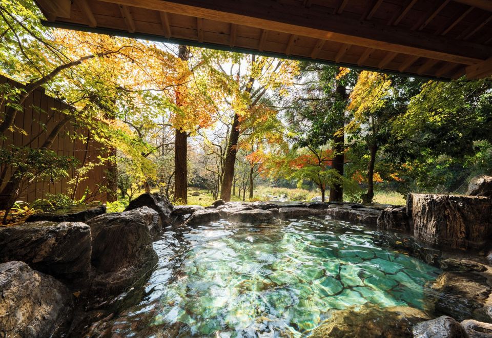 A rock-lined outdoor bath surrounded by autumn trees.
