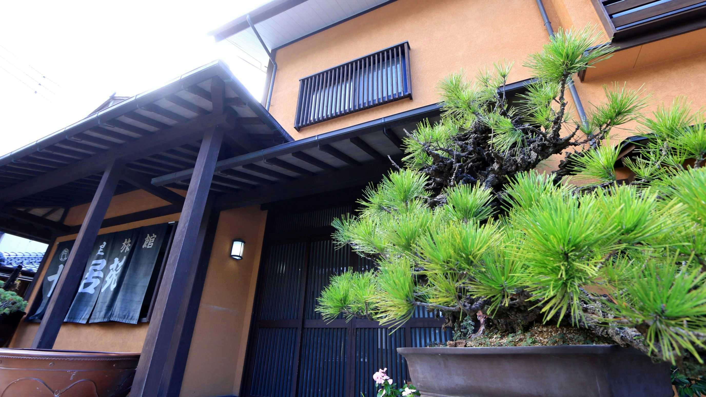 Ryokan Otorii-en with a close view of the timber entrance and sculpted pine.
