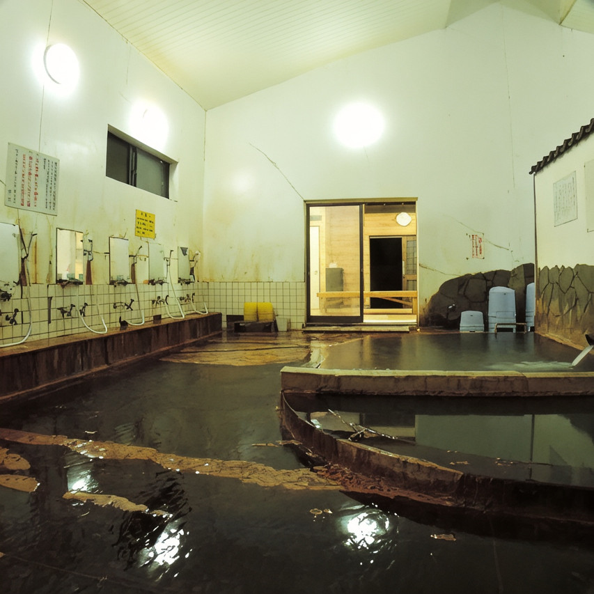 Two indoor pools with washing stations in a white-walled bathing room.