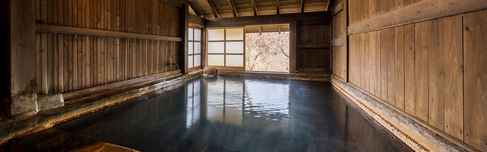 Hiyose Onsen Tenkazan-so rectangular indoor bath with wood walls and a broad window