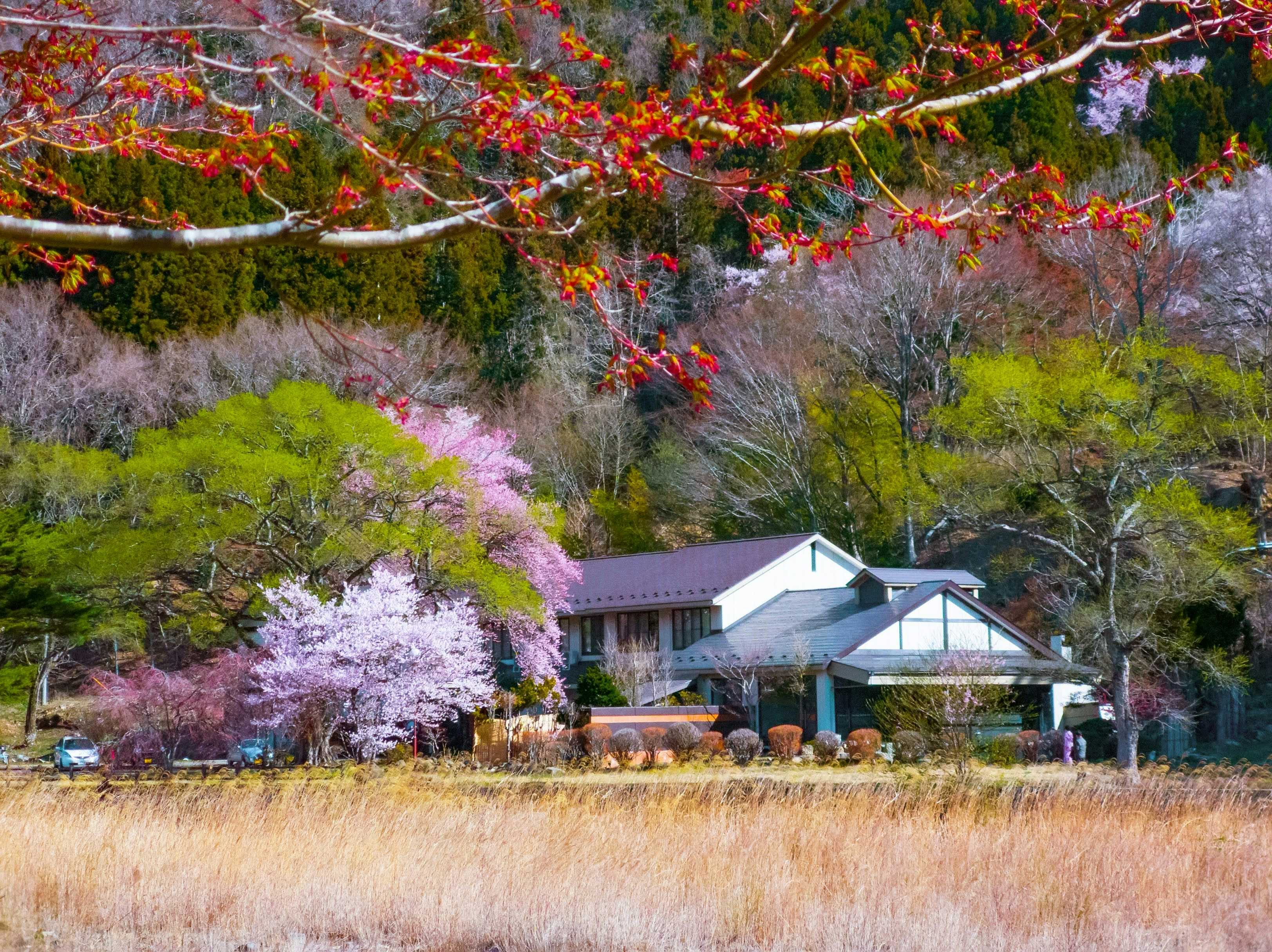 Akasawa Onsen Ryokan