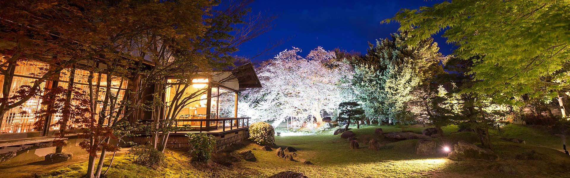 Hotel Parens Onoya illuminated garden with trees and a small pavilion at night