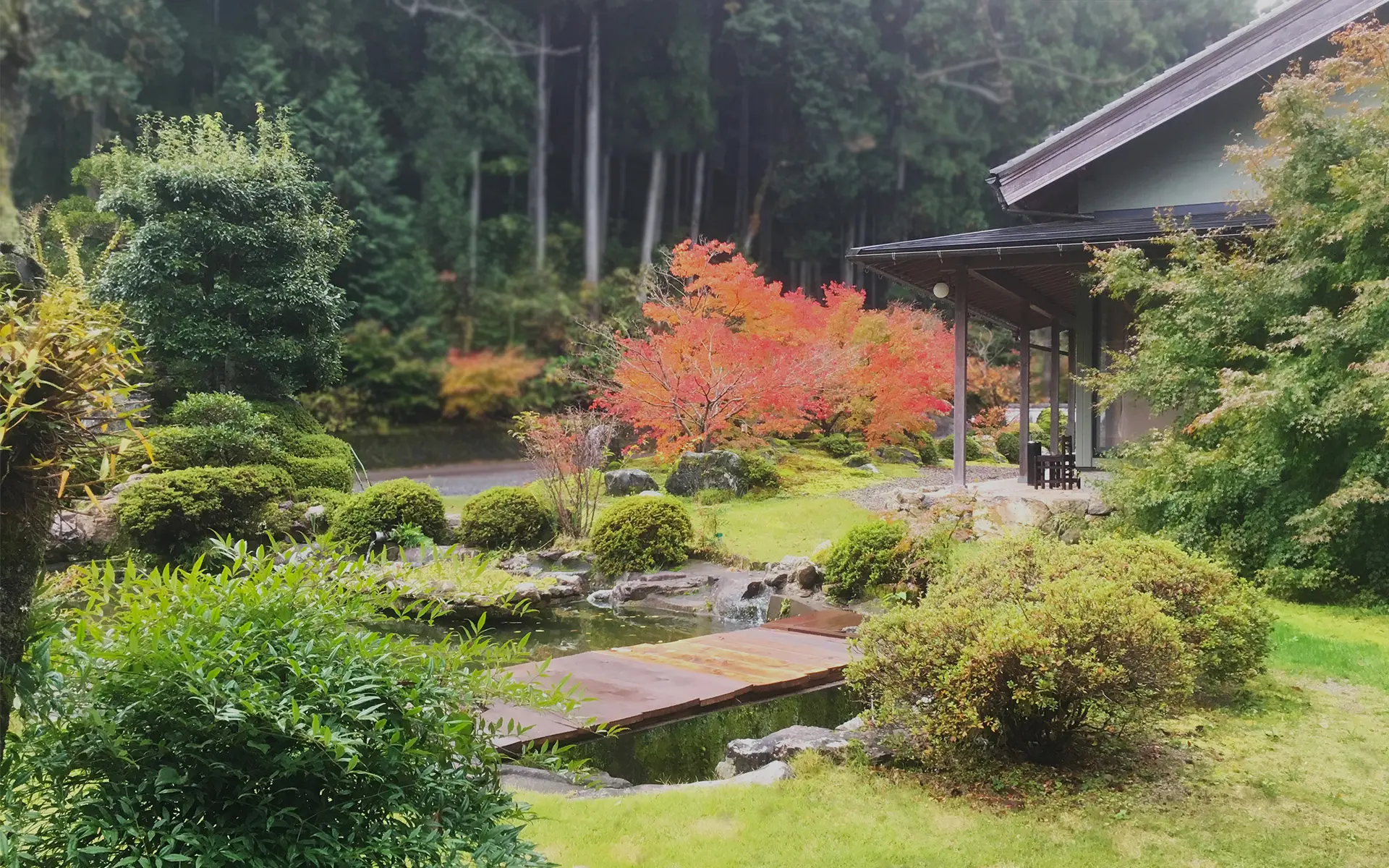 A traditional house and garden among trees.